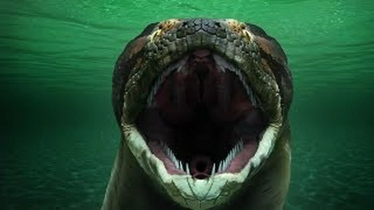 Titanoboa: Monster Snake Titanoboa: Monster Snake