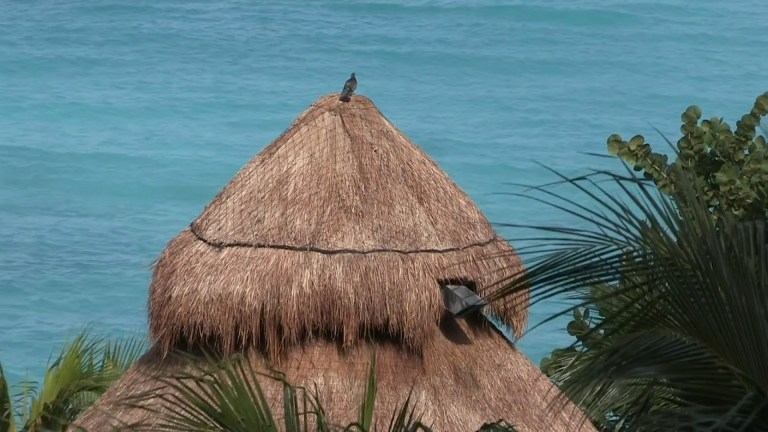 YUCATAN The Culture Is Nature, The Culture Is Maya YUCATAN The Culture Is Nature, The Culture Is Maya