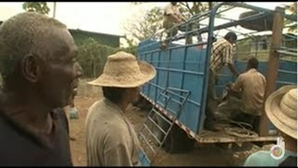 Panama, business in the jungle | Deadliest Journeys Panama, business in the jungle | Deadliest Journeys