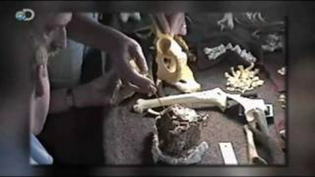 Discovering Ardi (Ardipithecus Ramidus) Discovering Ardi (Ardipithecus Ramidus)