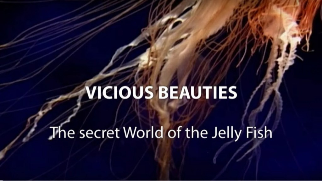 Vicious Beauties – The Secret World Of The Jellyfish (Full Documentary, HD) Vicious Beauties – The Secret World Of The Jellyfish (Full Documentary, HD)