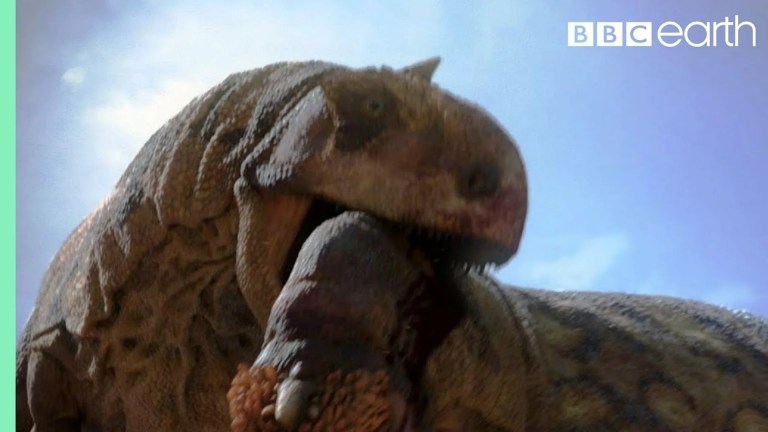 Dinosaur Cannibalism | Planet Dinosaur Dinosaur Cannibalism | Planet Dinosaur