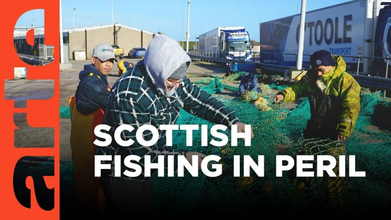 Scotland: Brexit Takes Toll on Fishing Scotland: Brexit Takes Toll on Fishing