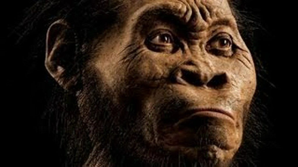 The 7 Best Documentaries About Science The 7 Best Documentaries About Science