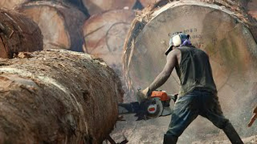 The Risky Life Of Lumberjack The Risky Life Of Lumberjack