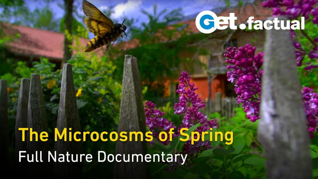 The 10 Best Documentaries About Gardens and Gardening The 10 Best Documentaries About Gardens and Gardening