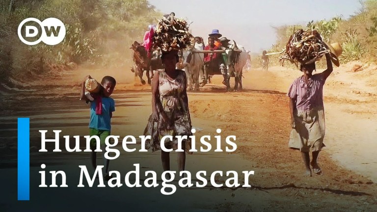 Climate change or politics? – Why Madagascar is going hungry Climate change or politics? – Why Madagascar is going hungry