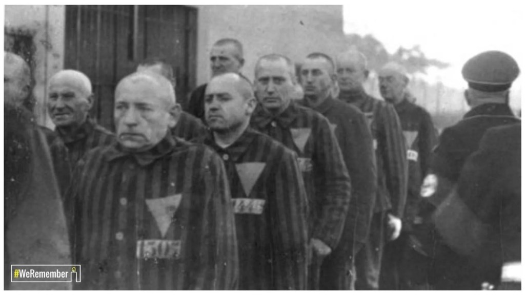 The Pink Triangles: The Story of the Gay Holocaust The Pink Triangles: The Story of the Gay Holocaust