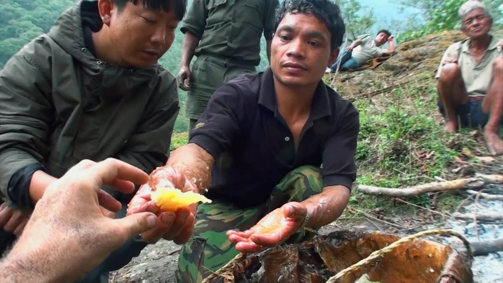 Hallucinogen Honey Hunters – Hunting mad honey Hallucinogen Honey Hunters – Hunting mad honey