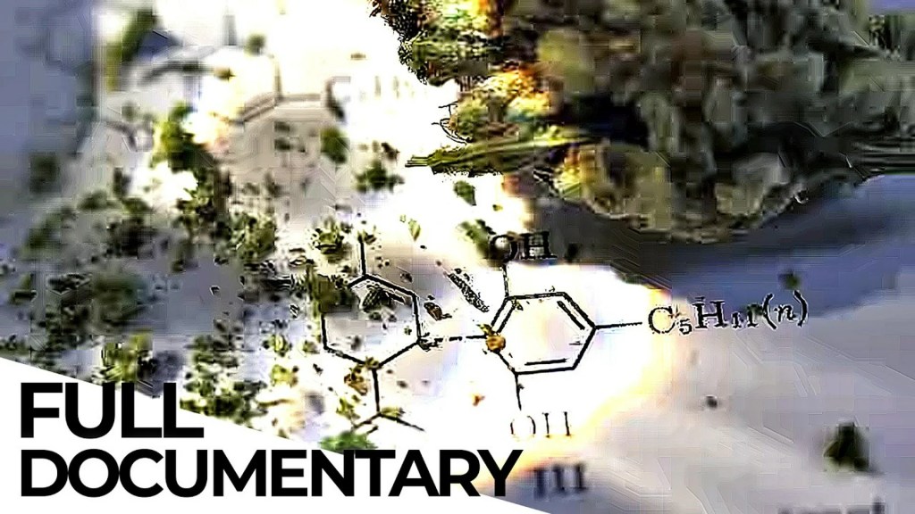 Cannabis: Stigmatized Wonder Drug Cannabis: Stigmatized Wonder Drug