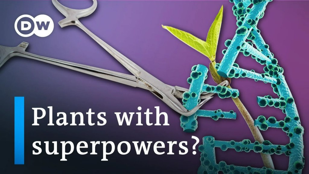 Why we may HAVE TO genetically engineer crops to ensure food security Why we may HAVE TO genetically engineer crops to ensure food security