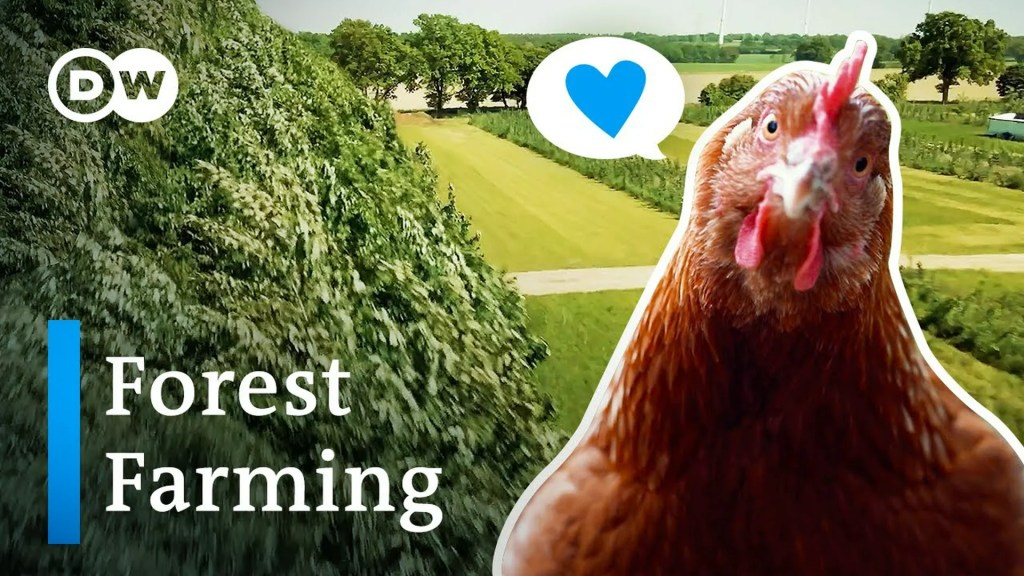 Agroforestry: A solution to farming’s biggest problems? Agroforestry: A solution to farming’s biggest problems?