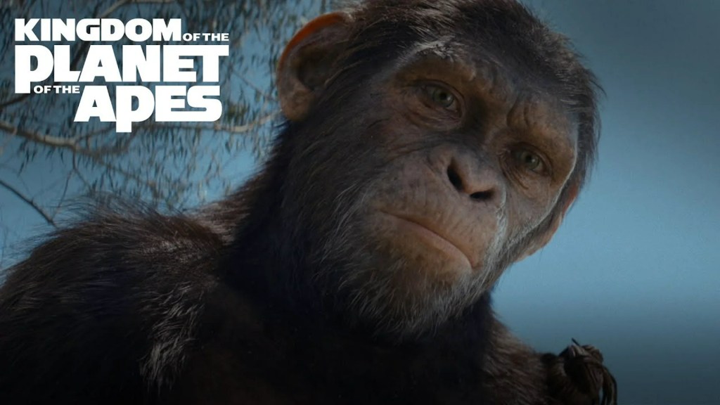 Where to Watch ‘Kingdom of the Planet of the Apes’: Streaming, Rentals, and Showtimes Where to Watch ‘Kingdom of the Planet of the Apes’: Streaming, Rentals, and Showtimes