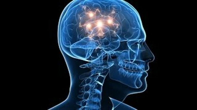 What Is Reality? How the Human Brain Shapes Perception What Is Reality? How the Human Brain Shapes Perception