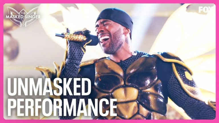 The Masked Singer Wasp Identity: All Clues Explained The Masked Singer Wasp Identity: All Clues Explained