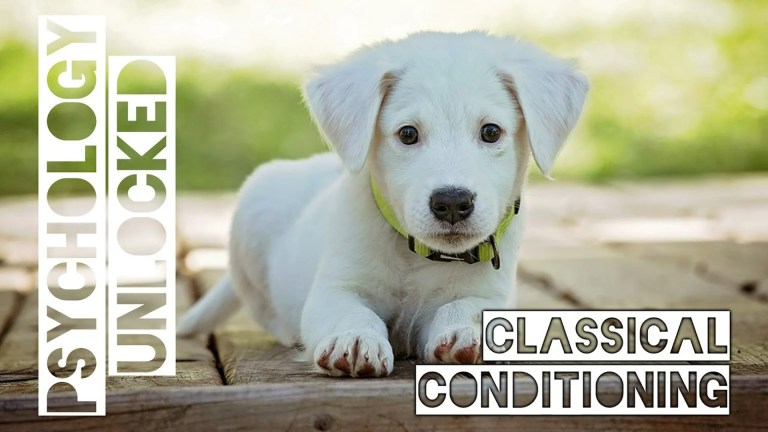 Pavlov’s Dogs and How People Learn | Classical Conditioning Pavlov’s Dogs and How People Learn | Classical Conditioning