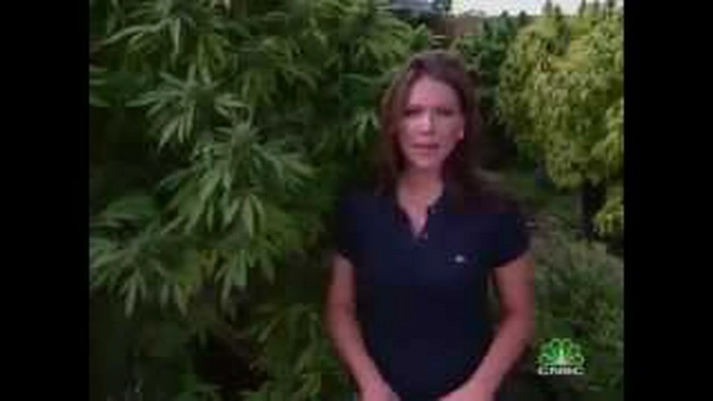 Marijuana Inc: Inside America’s Pot Industry Marijuana Inc: Inside America’s Pot Industry