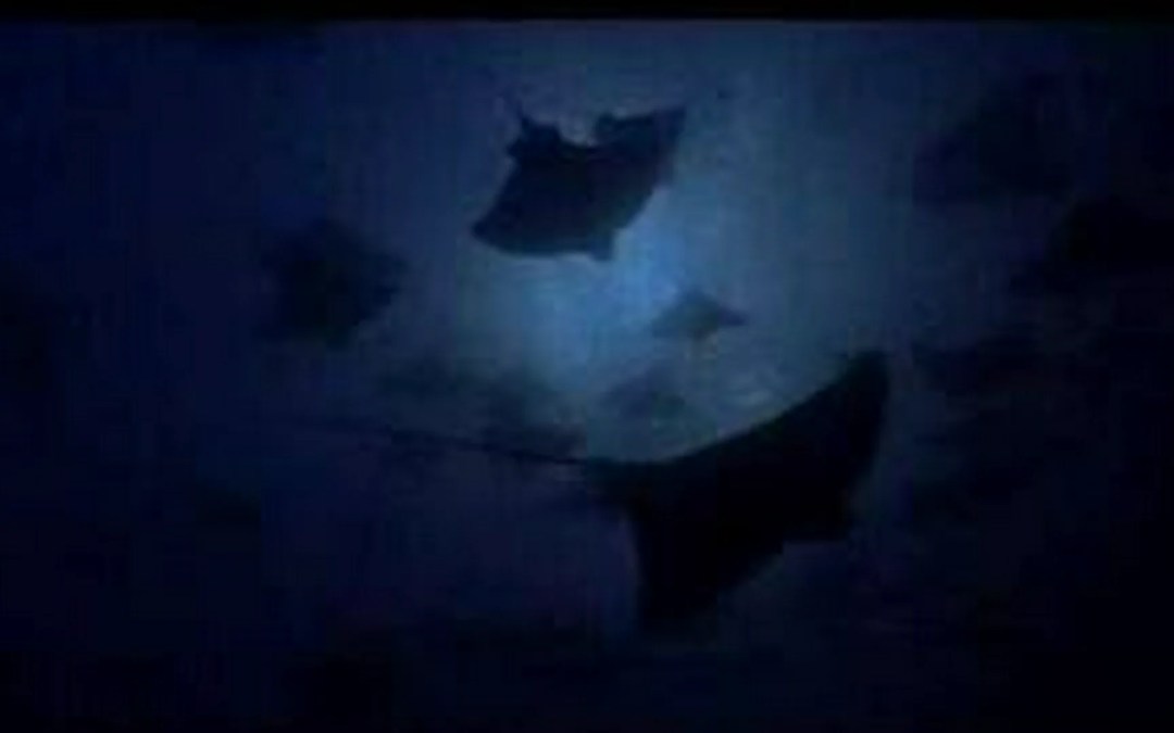 Koyaanisqatsi, Powaqqatsi, Naqoyqatsi and Chronos