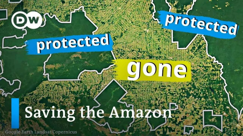 Can Brazil save the Amazon this time? Can Brazil save the Amazon this time?