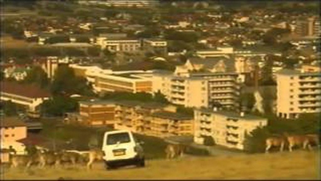 The 4 Best Documentaries About The Quagga The 4 Best Documentaries About The Quagga