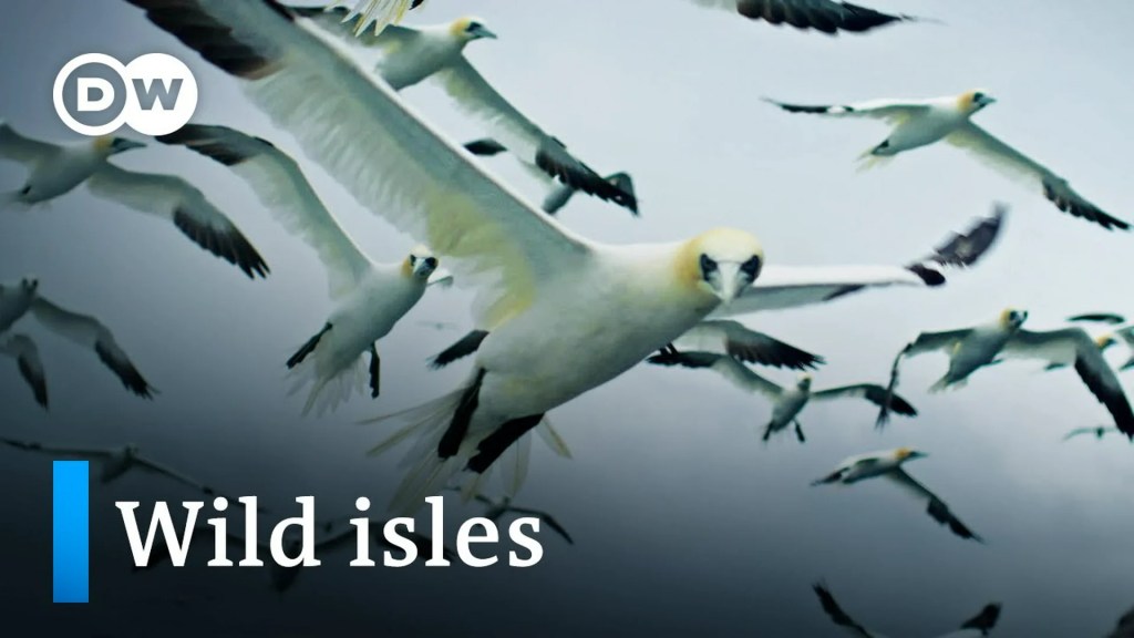 Biodiversity in the British Isles Biodiversity in the British Isles