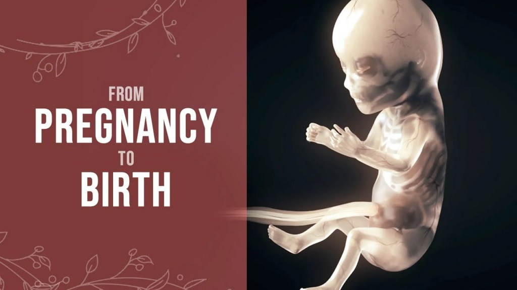 Pregnancy – How a Wonder is Born! Pregnancy – How a Wonder is Born!