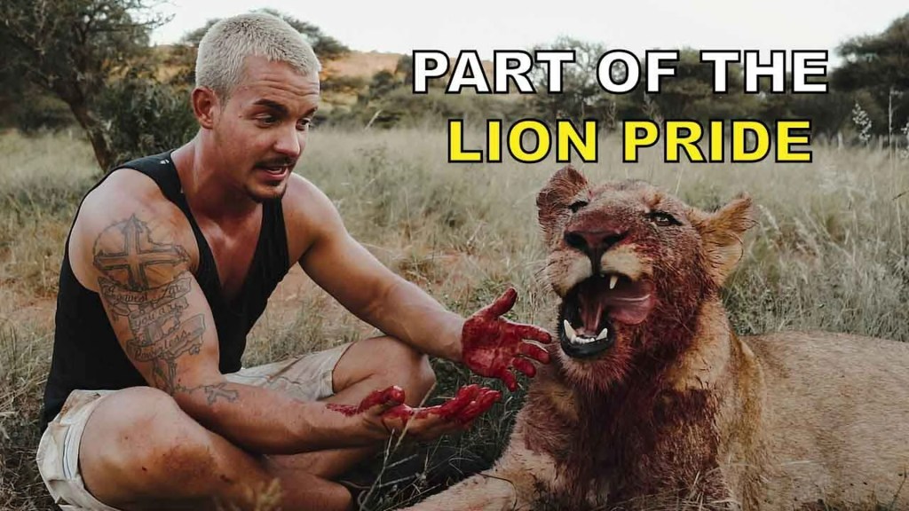 My Lion Family My Lion Family
