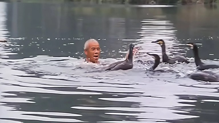 He dances for his cormorants – The Lords of the Animals He dances for his cormorants – The Lords of the Animals