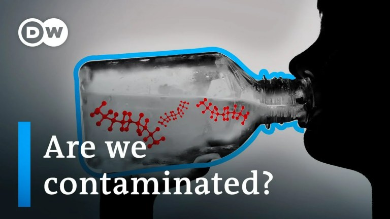 PFAS: The secret toxins in your body PFAS: The secret toxins in your body