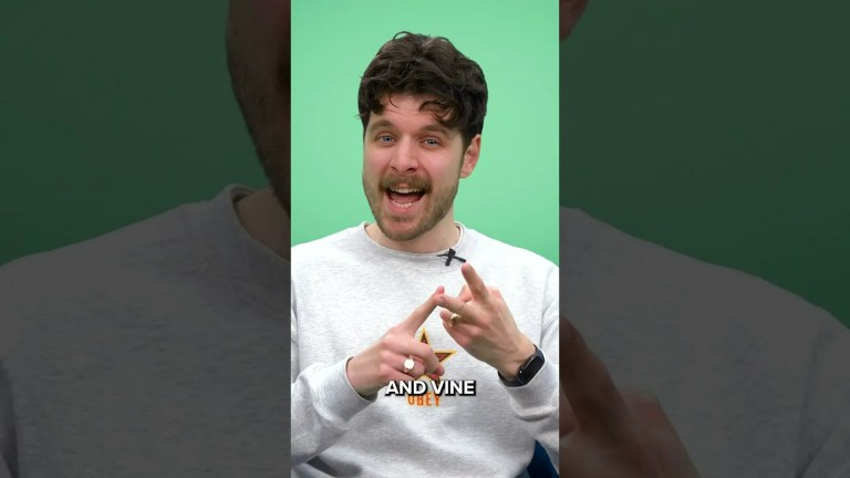 Elon Musk Says He’s Bringing Back Vine’s Archive—What’s Actually Available? Elon Musk Says He’s Bringing Back Vine’s Archive—What’s Actually Available?