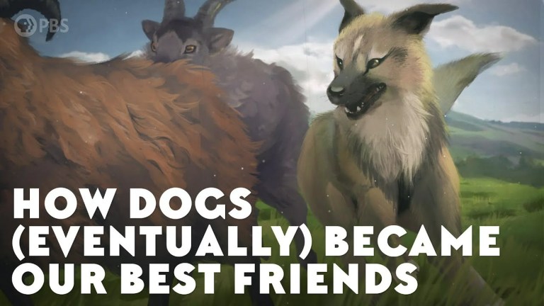 How Dogs Became Our Best Friends How Dogs Became Our Best Friends
