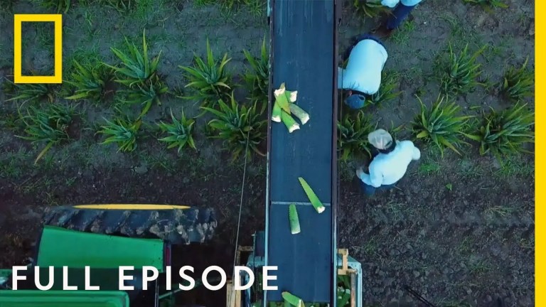 Secrets of the Garden | National Geographic Secrets of the Garden | National Geographic