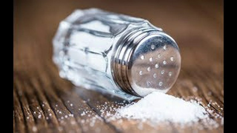 The History of Salt The History of Salt