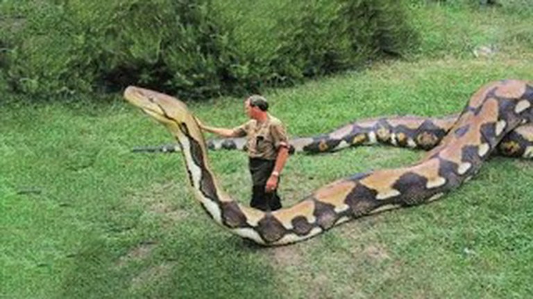 World’s Biggest Pets World’s Biggest Pets