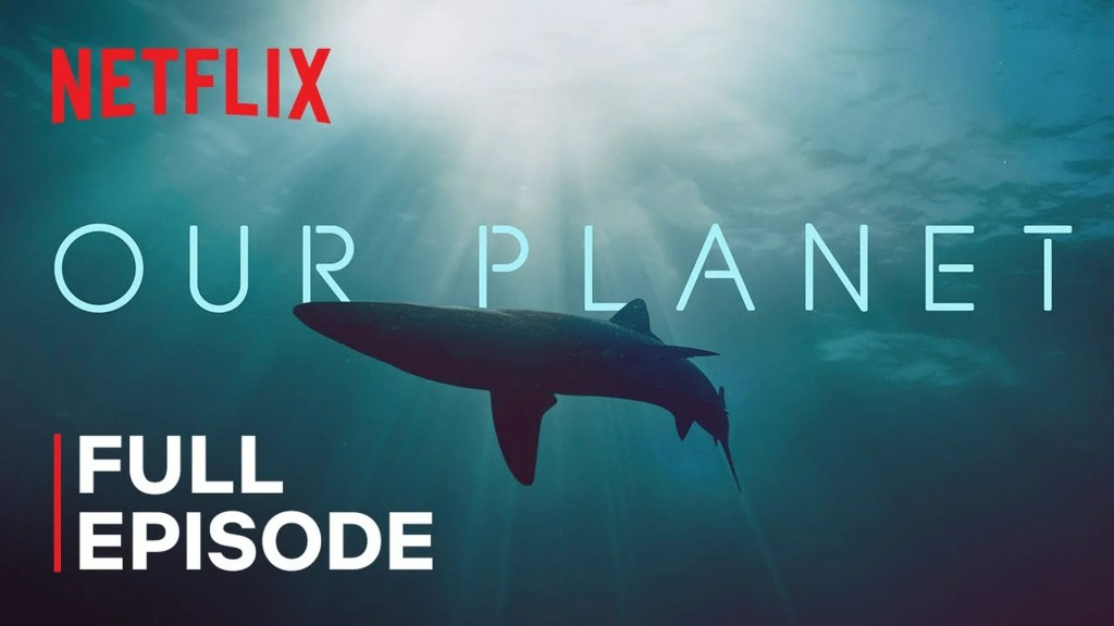 The 12 Best Documentaries About The Oceans The 12 Best Documentaries About The Oceans