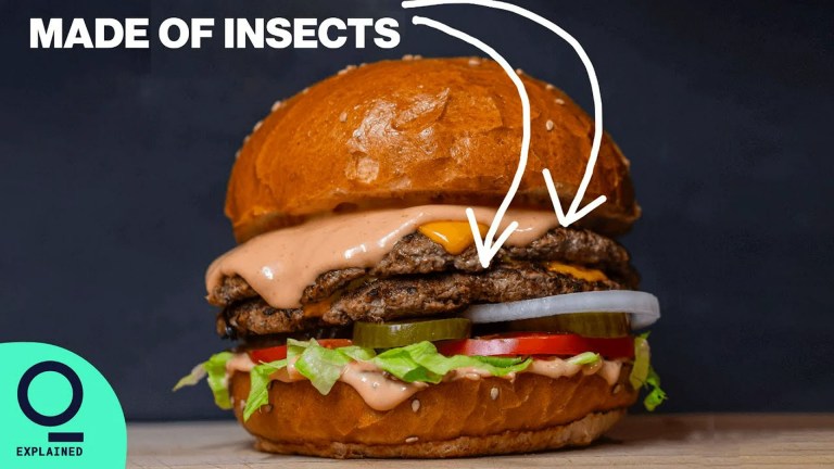 Insects Are a Food Source: Nutrition, Sustainability, and Safety Insects Are a Food Source: Nutrition, Sustainability, and Safety