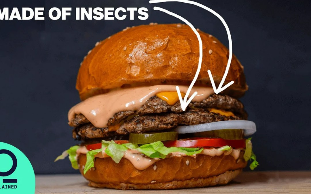 Insects are the New Ultimate Food Source Worldwide
