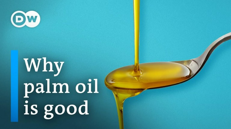 Palm oil isn’t as bad as you think Palm oil isn’t as bad as you think