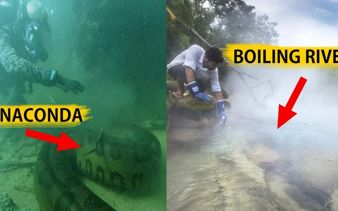 Strange Secrets In the Amazon RainForest