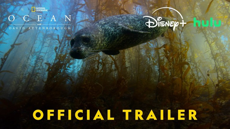 How to Watch *Ocean with David Attenborough* Online From Anywhere How to Watch *Ocean with David Attenborough* Online From Anywhere