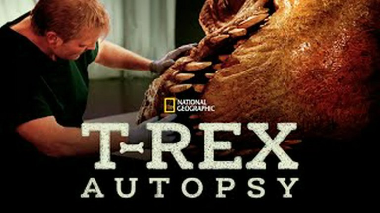 Go Inside a Full Size T-Rex – T-Rex Autopsy Documentary Go Inside a Full Size T-Rex – T-Rex Autopsy Documentary