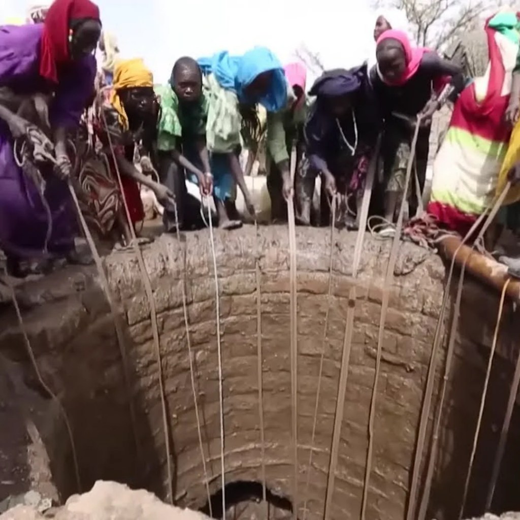 Climate Change: What Will Our Lives Look Like in 2050? Climate Change: What Will Our Lives Look Like in 2050?