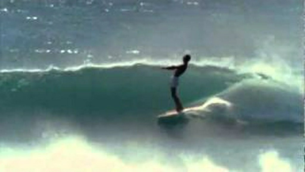 The Endless Summer The Endless Summer