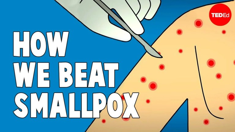 The Deadly Smallpox Virus The Deadly Smallpox Virus