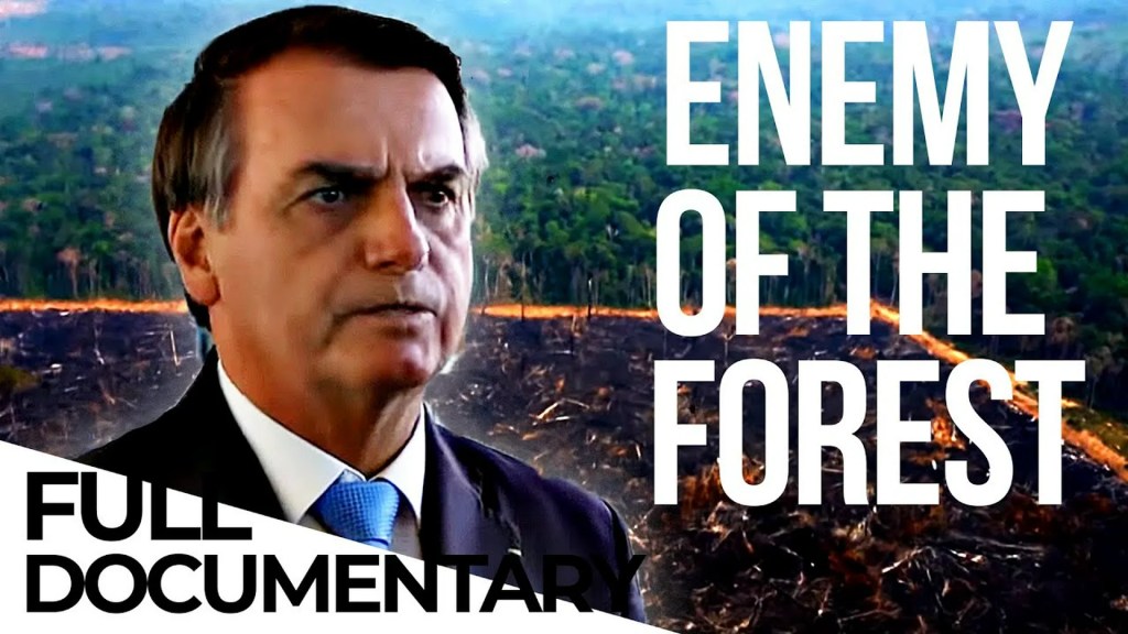 How Brazil is Fighting Against Bolsonaro’s Policies | Amazon | Deforestation How Brazil is Fighting Against Bolsonaro’s Policies | Amazon | Deforestation