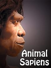 The Best Documentaries About Early Humans The Best Documentaries About Early Humans