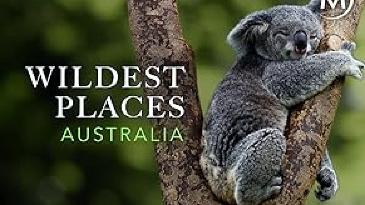 The 12 Best Documentaries About Australia The 12 Best Documentaries About Australia