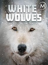 The 15 Best Documentaries About Wolves The 15 Best Documentaries About Wolves