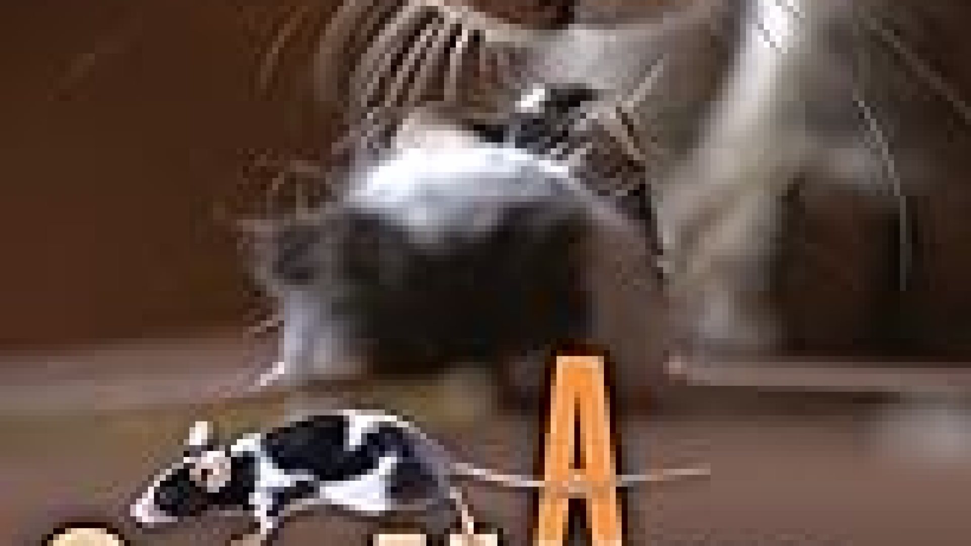 The Best Movies About Cats The Best Movies About Cats