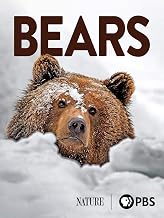 The 12 Best Documentaries About Bears The 12 Best Documentaries About Bears